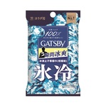 Gatsby 冰型除臭抹身濕紙巾 10 張